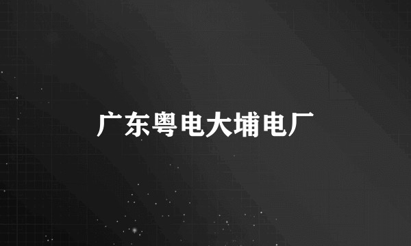 广东粤电大埔电厂