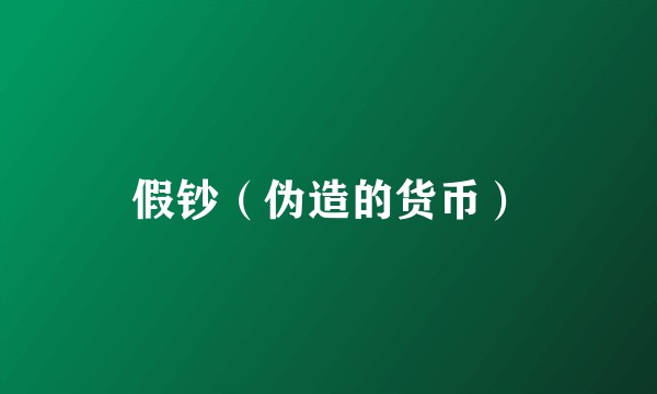 假钞(伪造的货币)