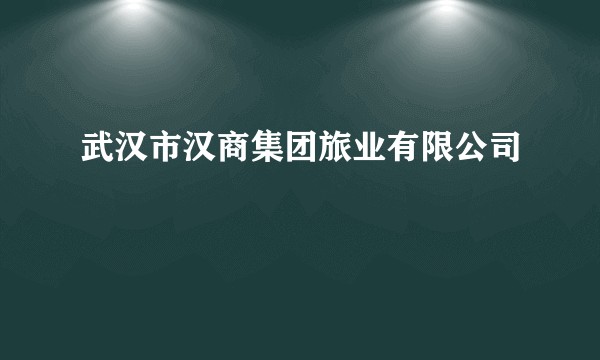 武汉市汉商集团旅业有限公司