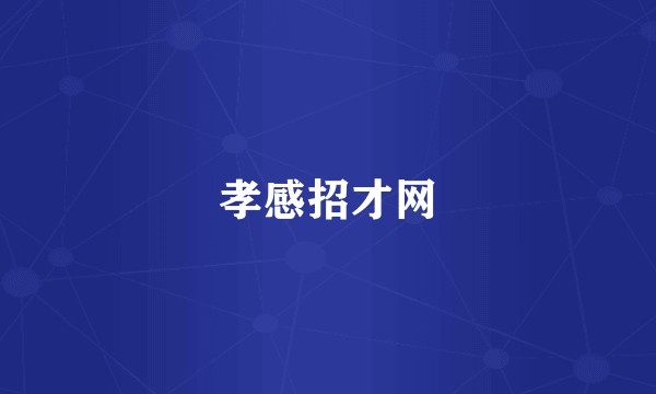 孝感招才网