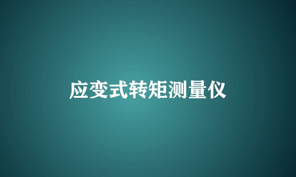 应变式转矩测量仪