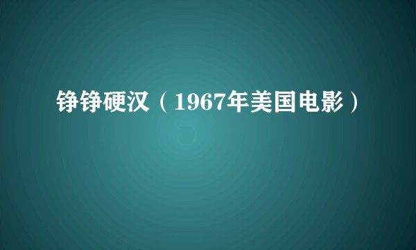 铮铮硬汉（1967年美国电影）