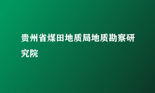 贵州省煤田地质局地质勘察研究院