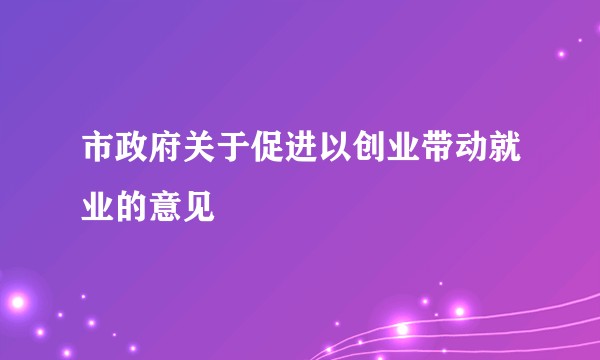 市政府关于促进以创业带动就业的意见