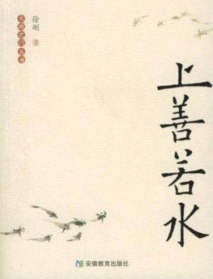 上善若水（2008年江苏文艺出版社出版的图书）