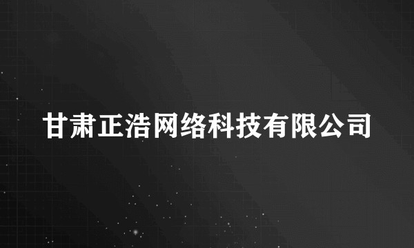 甘肃正浩网络科技有限公司