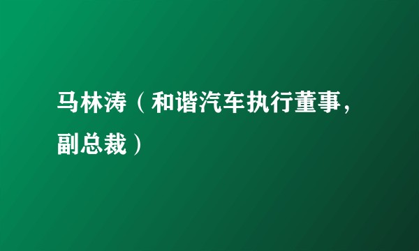 马林涛（和谐汽车执行董事，副总裁）