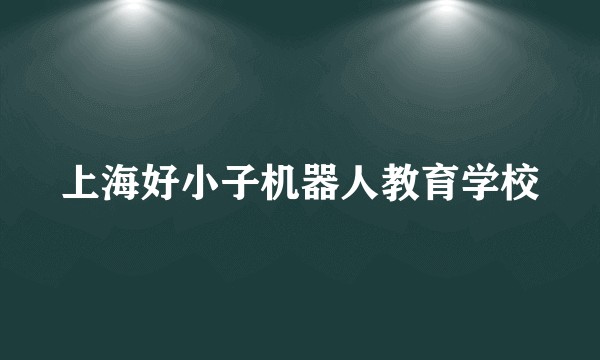上海好小子机器人教育学校