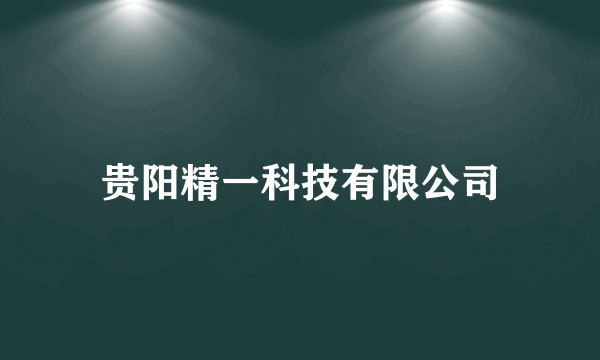 贵阳精一科技有限公司