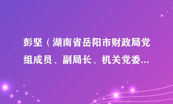 彭坚（湖南省岳阳市财政局党组成员、副局长、机关党委书记、三级调研员）