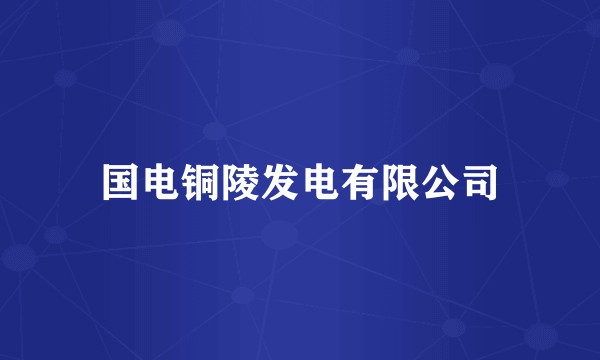 国电铜陵发电有限公司