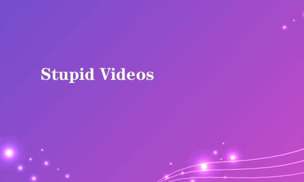 Stupid Videos