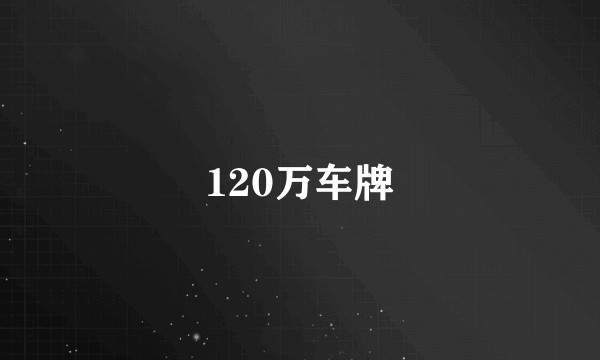 120万车牌