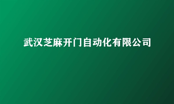 武汉芝麻开门自动化有限公司
