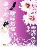 妻子的暧昧短信