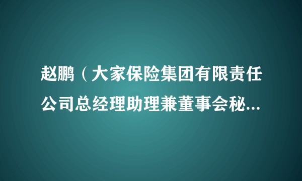 赵鹏(大家保险集团有限责任公司总经理助理兼董事会秘书、民生银行董事)