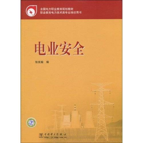 电业安全（2010年中国电力出版社出版的图书）