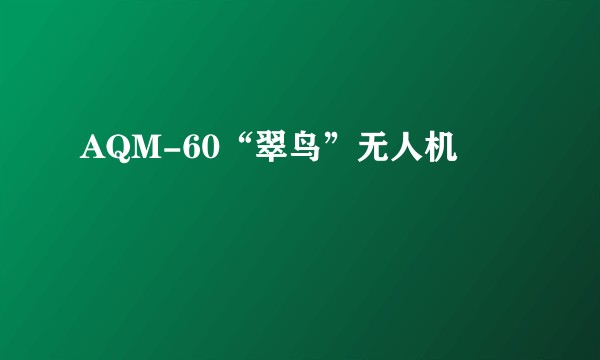 AQM-60“翠鸟”无人机