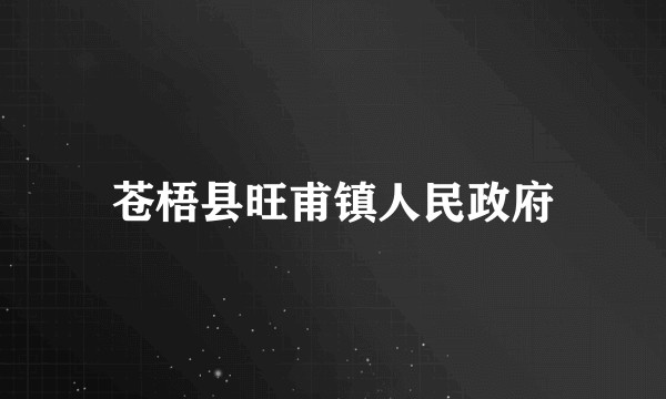 苍梧县旺甫镇人民政府