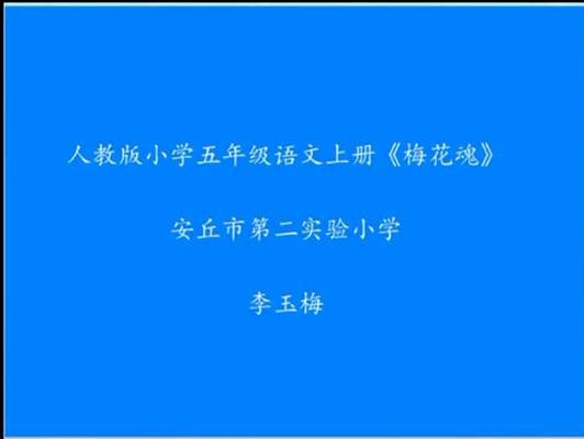 梅花魂（微课）