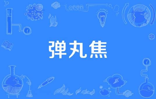弹丸焦