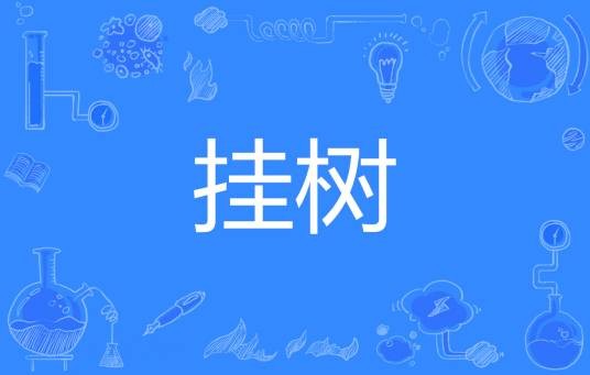 挂树