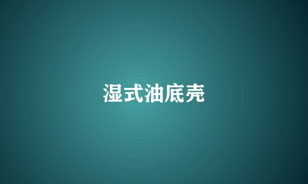 湿式油底壳
