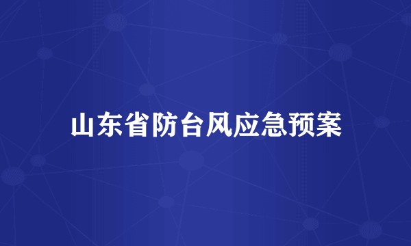山东省防台风应急预案