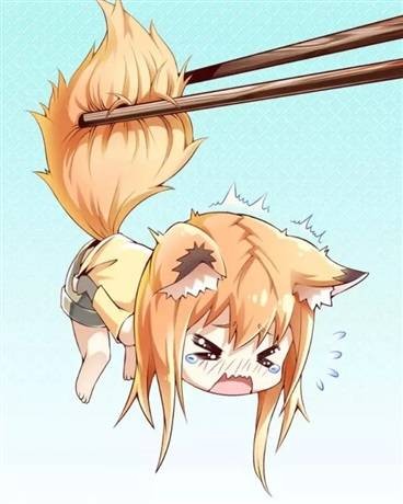 捡到一只小狐狸