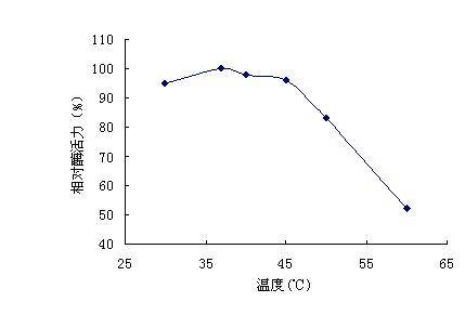 酶活力