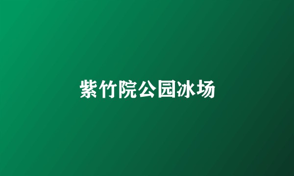 紫竹院公园冰场