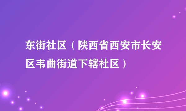 东街社区（陕西省西安市长安区韦曲街道下辖社区）