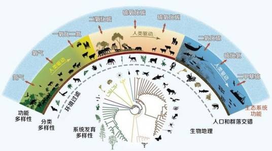 中国生物多样性信息系统