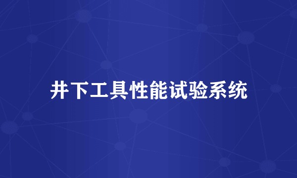 井下工具性能试验系统