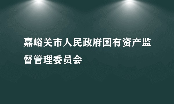 嘉峪关市人民政府国有资产监督管理委员会