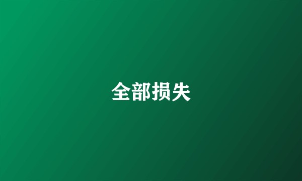 全部损失