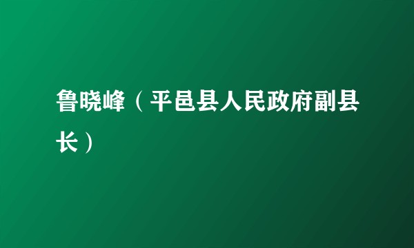 鲁晓峰（平邑县人民政府副县长）