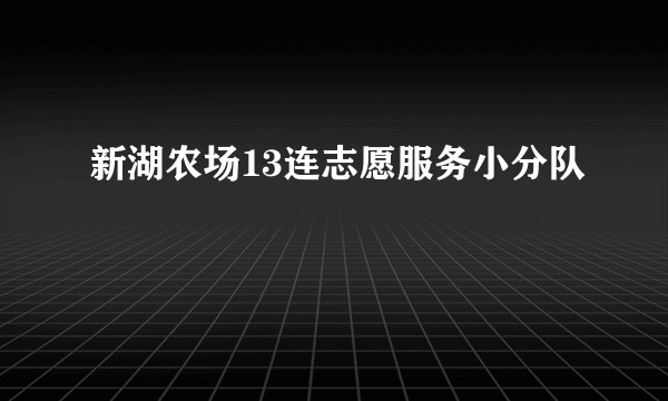 新湖农场13连志愿服务小分队