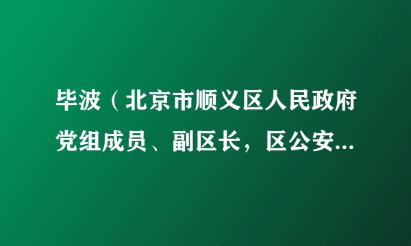 毕波（北京市顺义区人民政府党组成员、副区长，区公安分局党委书记、局长）