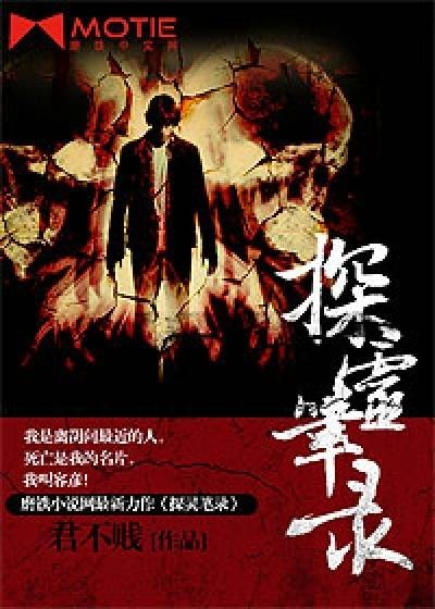 探灵笔录（小说名称）