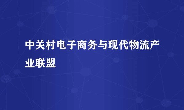 中关村电子商务与现代物流产业联盟