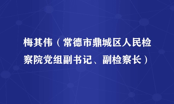 梅其伟（常德市鼎城区人民检察院党组副书记、副检察长）