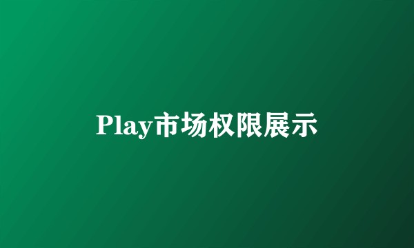 Play市场权限展示