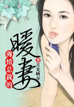 首席总裁的暖妻