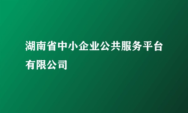 湖南省中小企业公共服务平台有限公司
