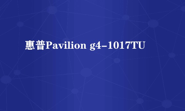 惠普Pavilion g4-1017TU