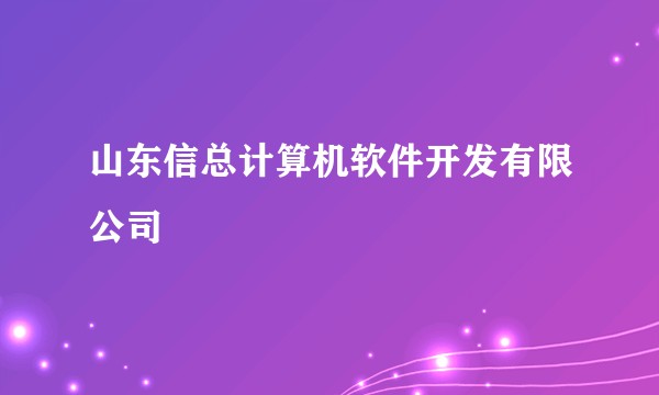 山东信总计算机软件开发有限公司