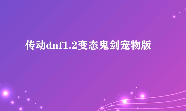 传动dnf1.2变态鬼剑宠物版