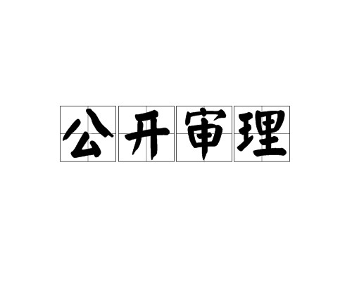 公开审理