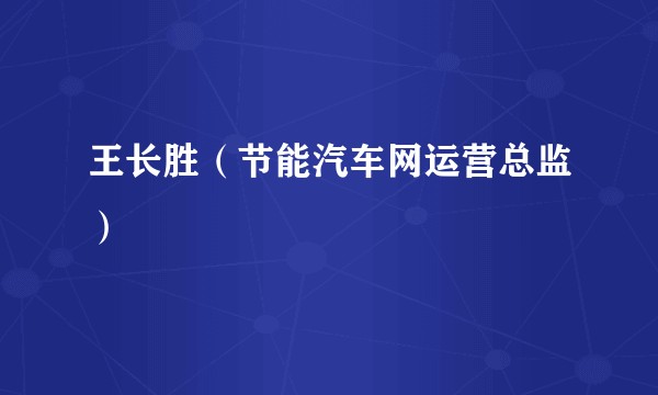 王长胜（节能汽车网运营总监）